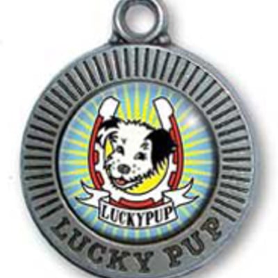 Lucky pup id tag- large