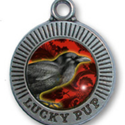 Raven id tag- large