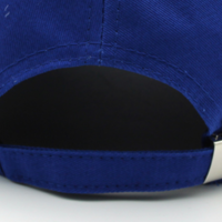 Free Shipping-"DECADENT CITIZENS" CAP - Thumbnail 4