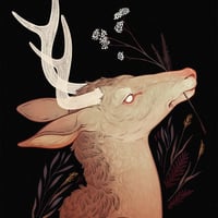 Yarrow - T-Shirt - Thumbnail 1