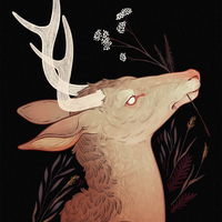 Yarrow - Long Sleeve T-Shirt - Thumbnail 1