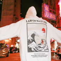 LAW OF NATURE HOODIES - Thumbnail 2