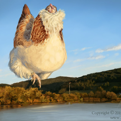 8x10 bup bup - faverolles chicken print
