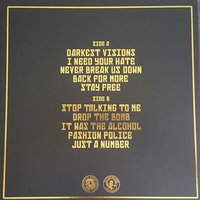 BOY - Darkest Visions - LP (Slipcase + Gatefold: Gold)  - Thumbnail 2