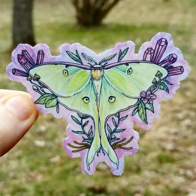 Luna moth vinyl sticker 