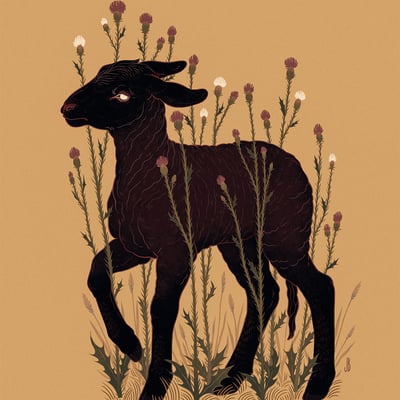 Black lamb - print - Thumbnail 2