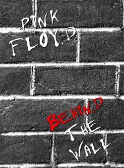 PINK FLOYD Behind The Wall TIME 69min RANK A PRO SHOTPINK FLOYD Behind The Wall DVD