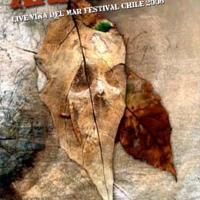 Kansas live vina del mar festival chile 2006 dvd