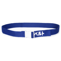 "HIDDEN COOL" BELT - Thumbnail 2