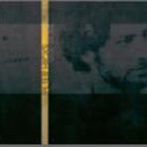 Peter Hicks "Until We See"