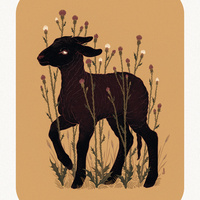 Black Lamb - White Long Sleeve T-Shirt - Thumbnail 1