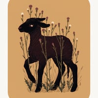 Black Lamb - White T-Shirt - Thumbnail 1