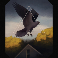 Storm Kite - T-Shirt - Thumbnail 1