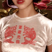 Free Shipping-THANK YOU FOR COMING VELVET TOP - Thumbnail 3