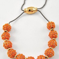 ORANGE EXTRACT - Thumbnail 1