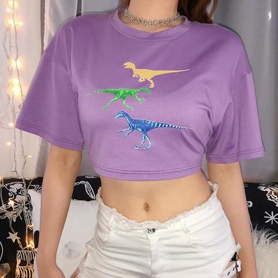 Dinosaur printed purple color block top