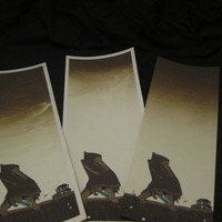 Leaving Home 'hope in a bottle' Serigraph - Thumbnail 2