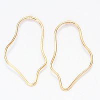 Hollow Irregular Line Metal Earrings - Thumbnail 1