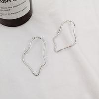 Hollow Irregular Line Metal Earrings - Thumbnail 4
