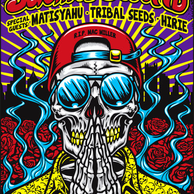 Slightly stoopid (pa 19) 18x24 screenprinted poster (signed and numbered)
