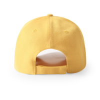 Free Shipping-"DIVISION" CAP - Thumbnail 1