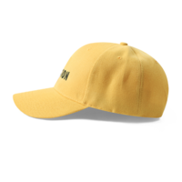 Free Shipping-"DIVISION" CAP - Thumbnail 3