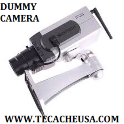 Dummy wireless box camera with battery powered motion detection system
