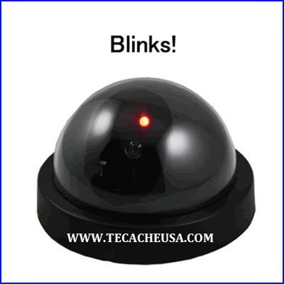 Dummy dome camera, w/ motion detection