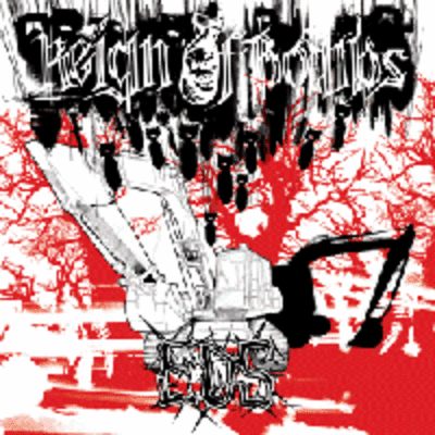 Reign of bombs/earth died screaming 7"