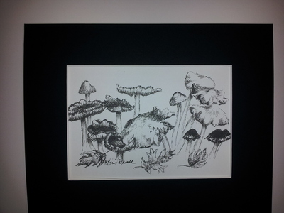 MUSHROOM DANCE ORIGINAL INK SKETCH PRINT