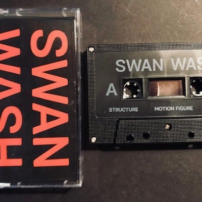 Swan wash - self-tited - Thumbnail 5