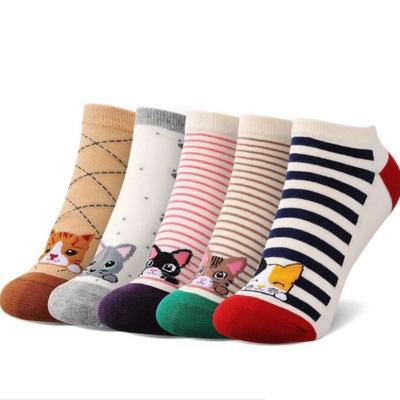 5 pairs curly cat socks