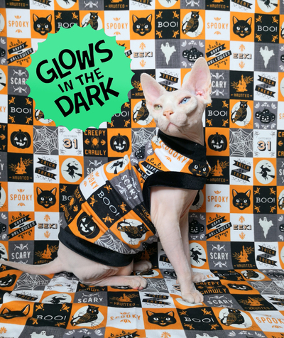 Boo! Eek! Scary Spooky Glow-in-the-dark!