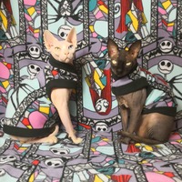 Together Forever; Separately - Thumbnail 2