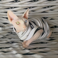 I Want My Mummy Glow-in-the-dark! - Thumbnail 3