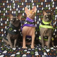 I'm Here For The Boos! - Thumbnail 1