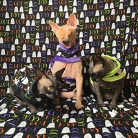 I'm Here For The Boos! - Thumbnail 2