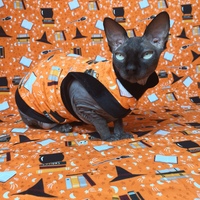 Hocus Pocus Glow-in-the-dark! - Thumbnail 2