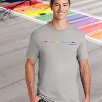 Mountain Pride. Denver Pride Silver Hoodie - Thumbnail 3