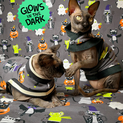 Of course my cats wear costumes! glow-in-the-dark!
