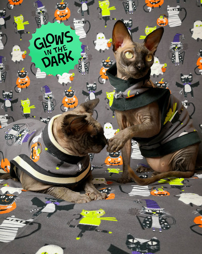 Of Course My Cats Wear Costumes! Glow-in-the-dark!