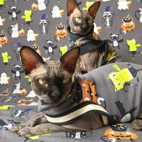 Of Course My Cats Wear Costumes! Glow-in-the-dark! - Thumbnail 2