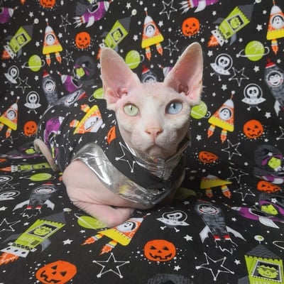 Lost in space glow-in-the-dark!