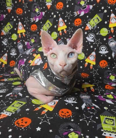 Lost In Space Glow-in-the-dark!