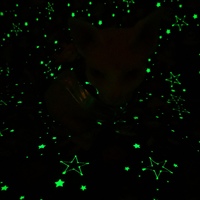Lost In Space Glow-in-the-dark! - Thumbnail 1
