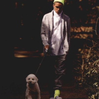 SOFT COTTON SOCKS  - Thumbnail 4