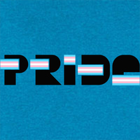 Pride with the Transgender Flag T-shirt - Thumbnail 1