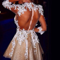 Sexy Long Sleeves Sheer Short Prom Dress With Lace - Thumbnail 1