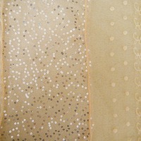 (New with tags) Peach Sequin and Lace Scarf - Thumbnail 1