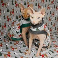 Candy Cane Delivery - Thumbnail 1